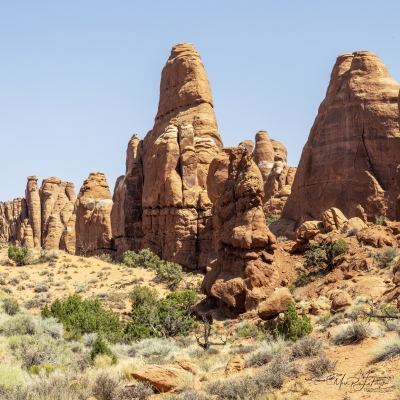 Arches National Park June 2025